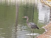 Review Image by Jessica Jessica