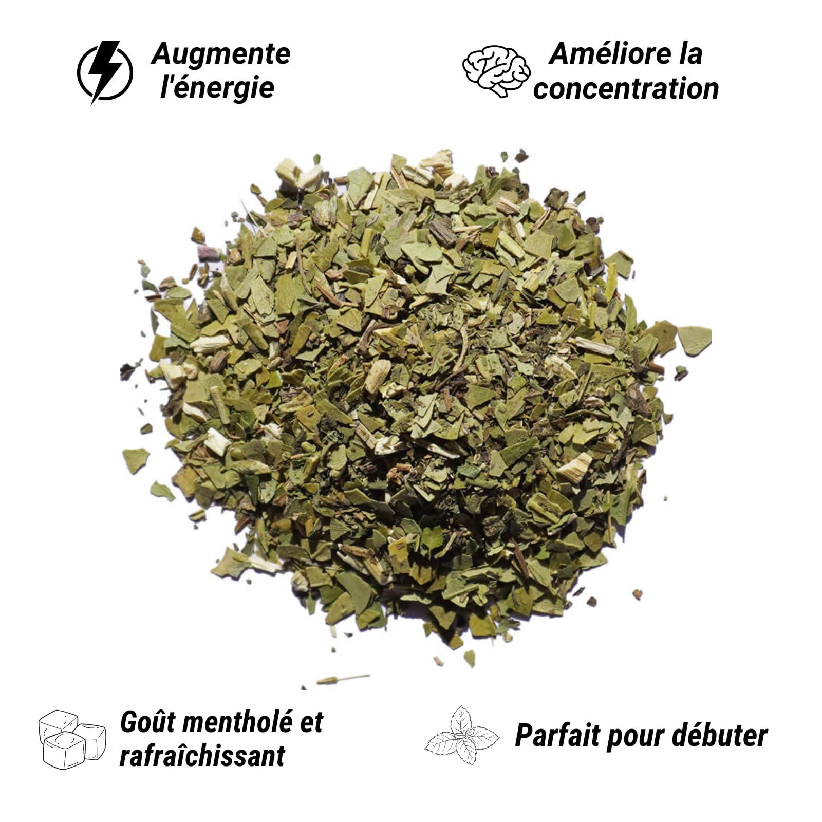 FRATÉ MATÉ Yerba Maté Menthe Bio 1KG | sans Amertume |Frais et Mentholé | Idéal pour débuter sa journée | 0 Poussiere