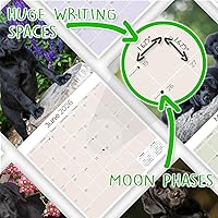 Vista 749 de Razas de Perros 2017