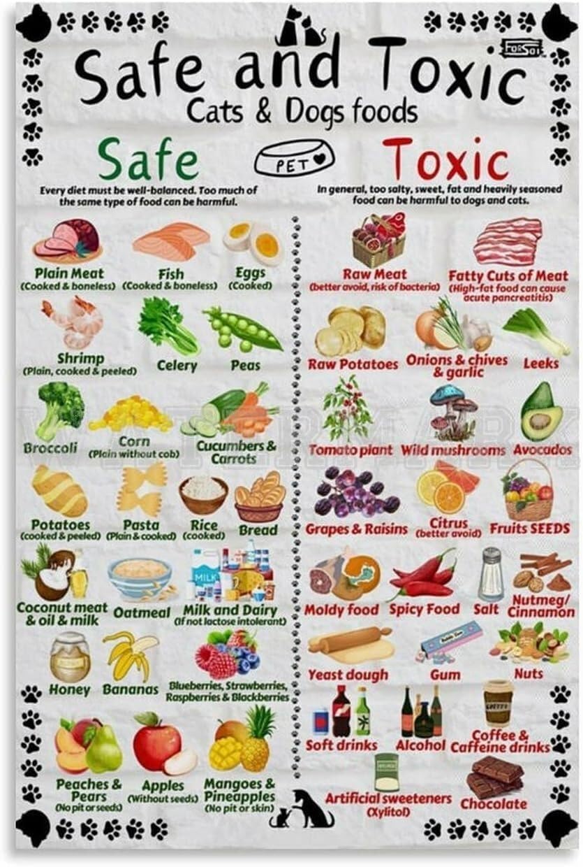 LLBOGRGGN What to Feed Your Dog Cat Chart Poster A Guide to Safe Foods and Toxic Items Avoid(Unframed,16x24inch(40x60cm))