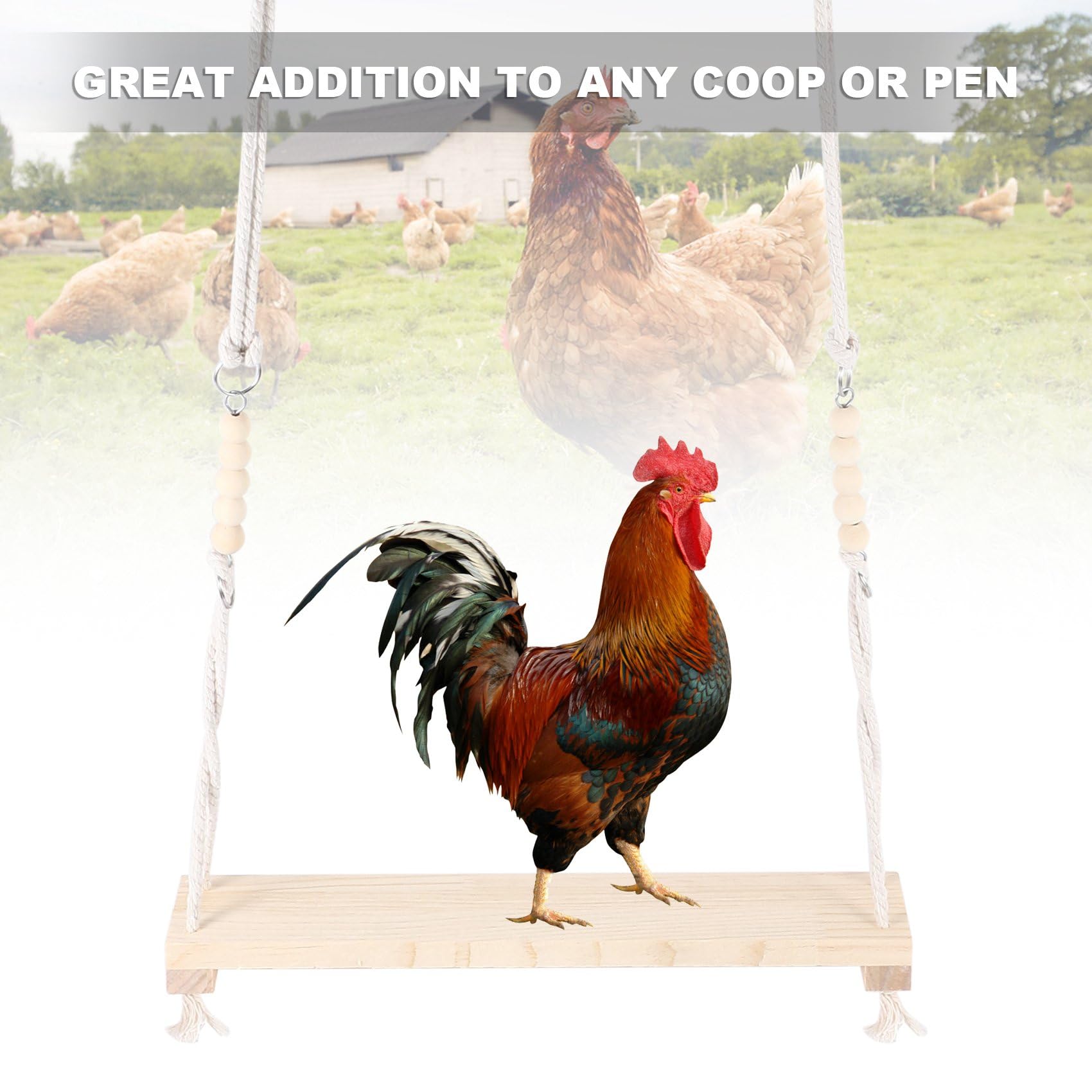 Giocattolo 'Altalena di Pollo per Accessori nel Legno Naturali Sicuri di Pesce Persico Grande e Durevole per Galline da Cortile