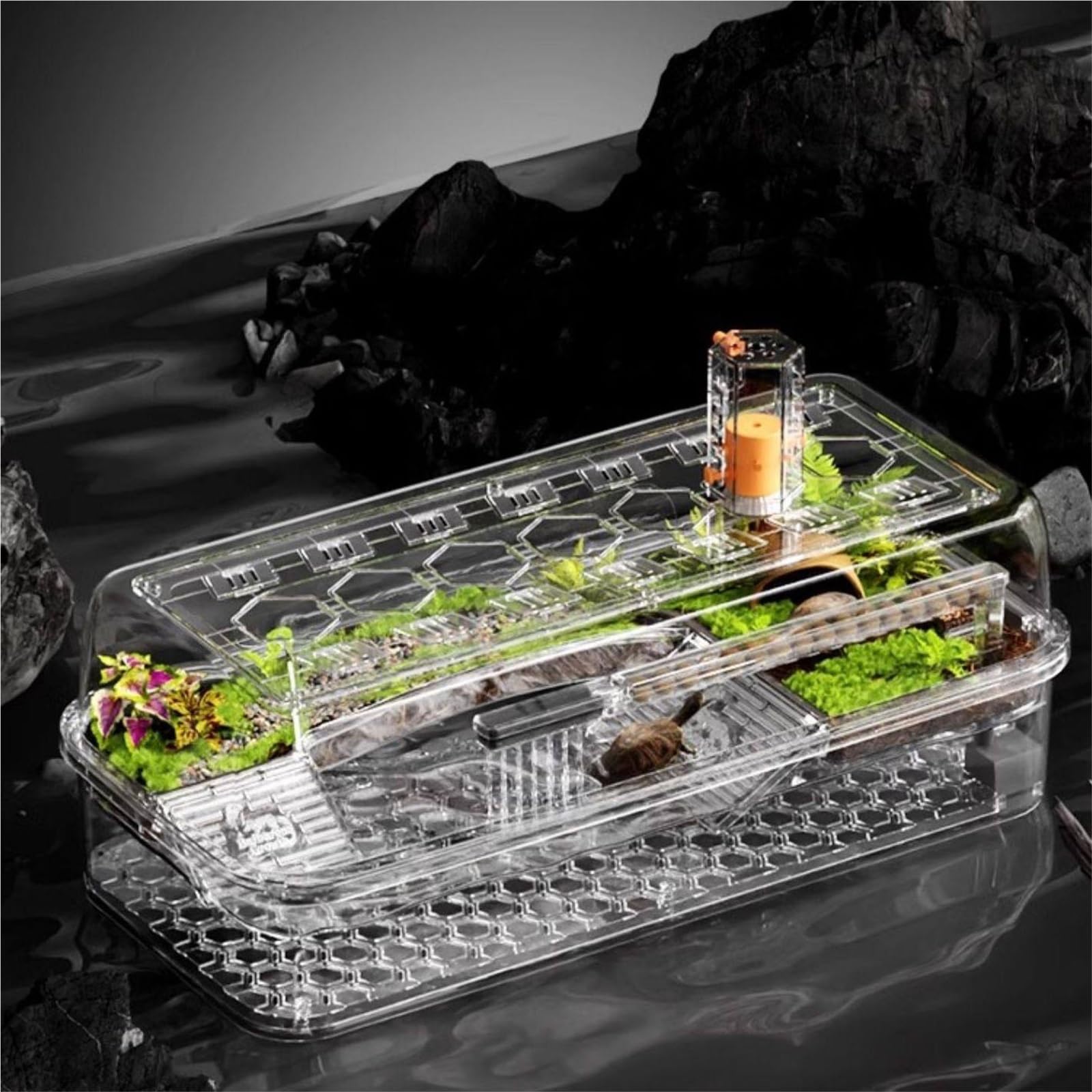 Siedlisko terrarium Zbiornik do hodowli żółwi, platforma suszenia na słońcu, wspinaczkowa, domowy pulpit Terrarium akwariowe(Mały)