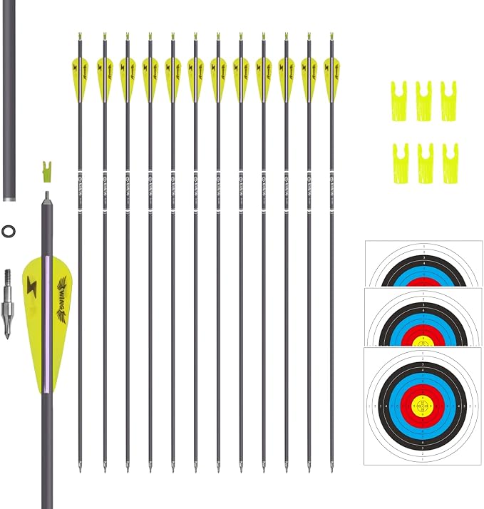 Top 12 Best Aluminum Arrows for Recurve Bow You Need Now - Cape Fear Investigative Services /