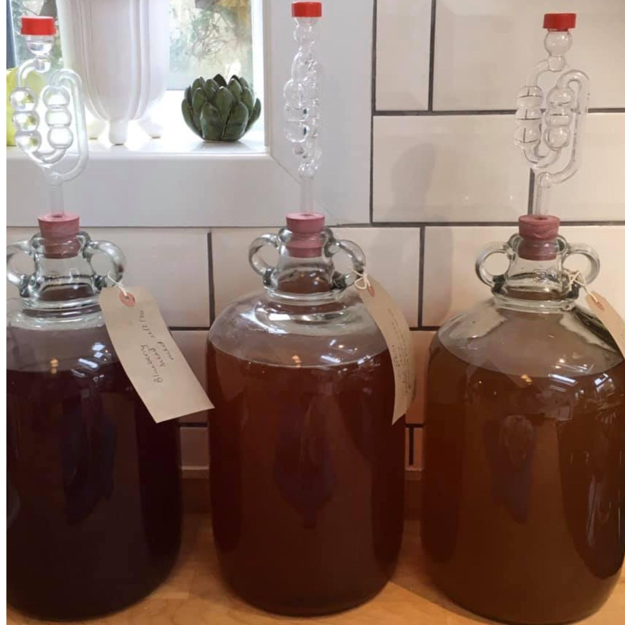 Yeast Nutrient - Recipiente resellable de 100 g