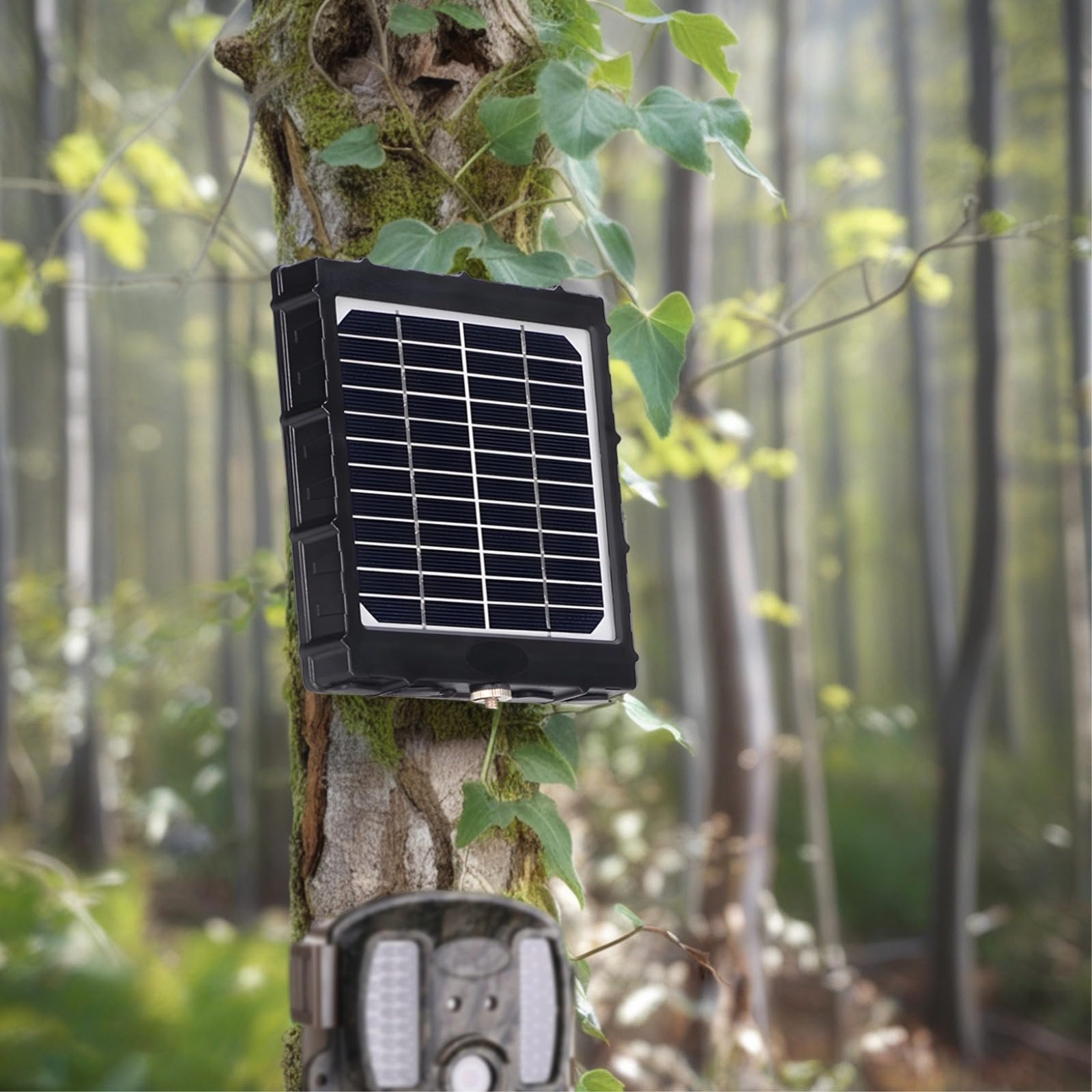 Alimentatore solare per telecamere da trail, batteria 8000 mAh, uscita 12 V 9 V 6 V, costruzione in ABS, ricarica in 5 ore, pronto per l'uso all'aperto