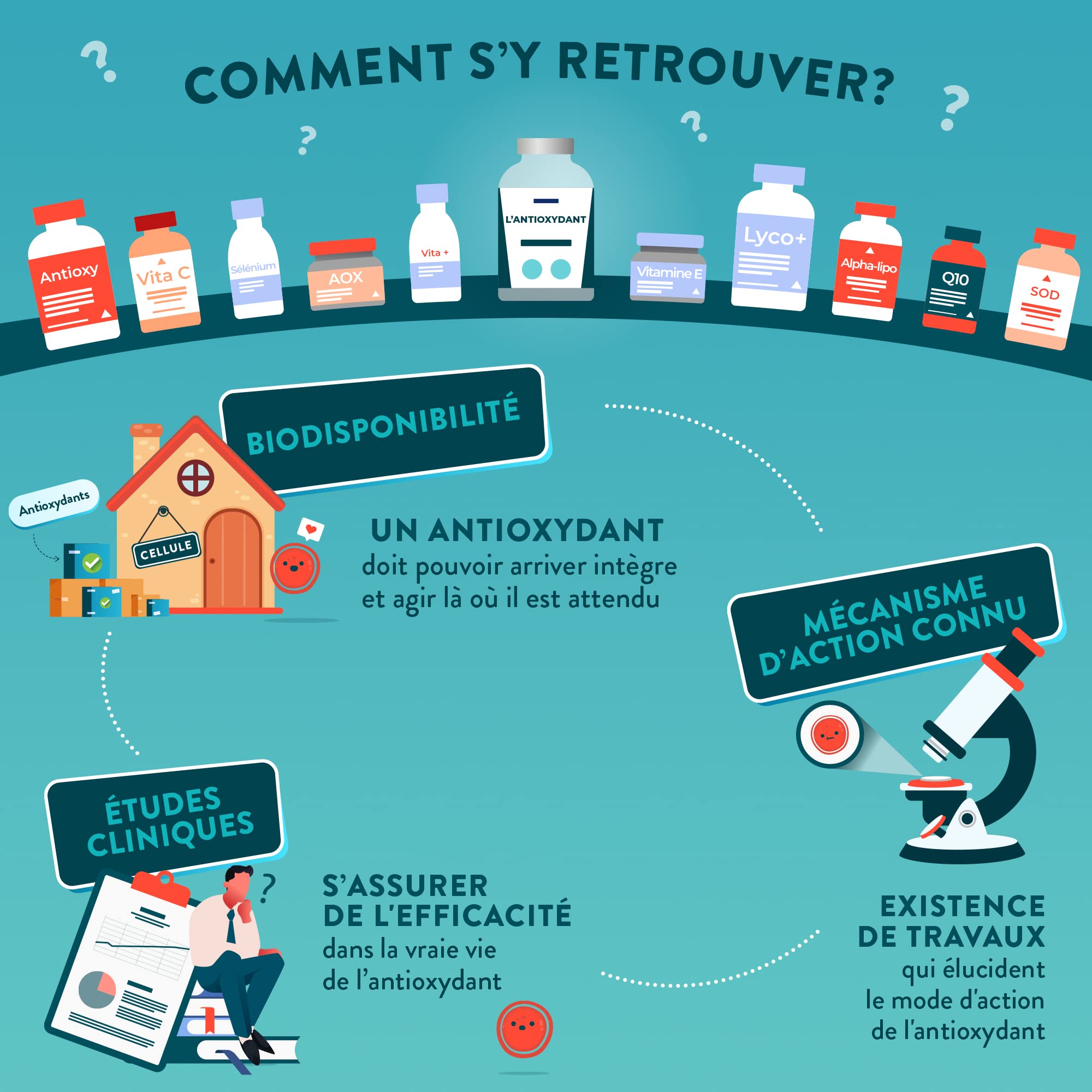 NUTRI & CO Antioxydant - Pépins de Raisin OPC et Sulforaphane de Brocoli - Vit C Précurseur du Collagène - Mix Bio-disponible Anti-âge pour la Peau - 60 Gélules Vegan - Fabriqué en France