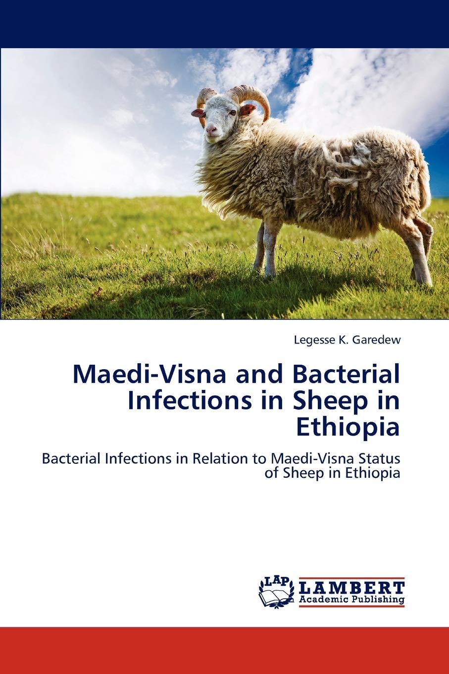 Maedi-Visna and Bacterial Infections in Sheep in Ethiopia: Bacterial Infections in Relation to Maedi-Visna Status of Sheep in Ethiopia