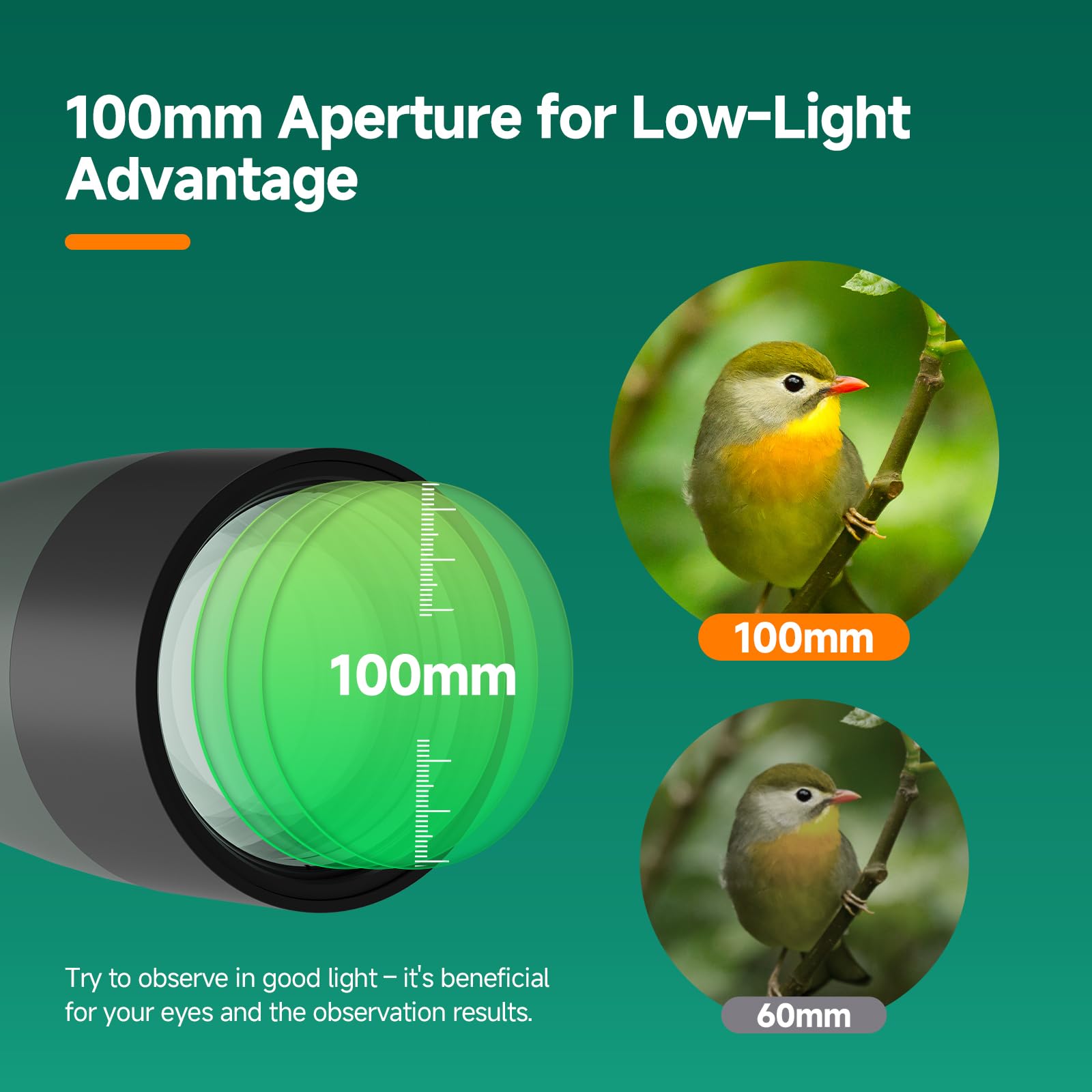 Svbony SV28 25-75x100mm longue-vue avec trépied, grand champ de vision, images claires et claires, HD Bak4 FMC Spotter Scope avec adaptateur smartphone, pour tir sur cible, observation des oiseaux