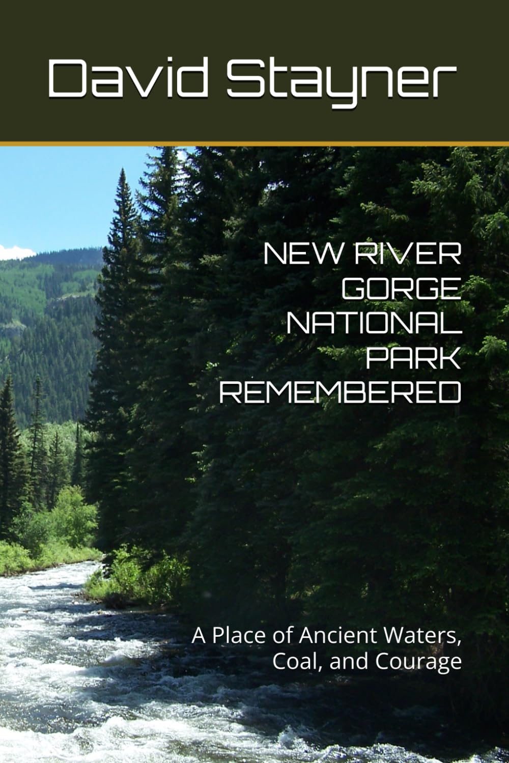 NEW RIVER GORGE NATIONAL PARK REMEMBERED: A Place of Ancient Waters, Coal, and Courage