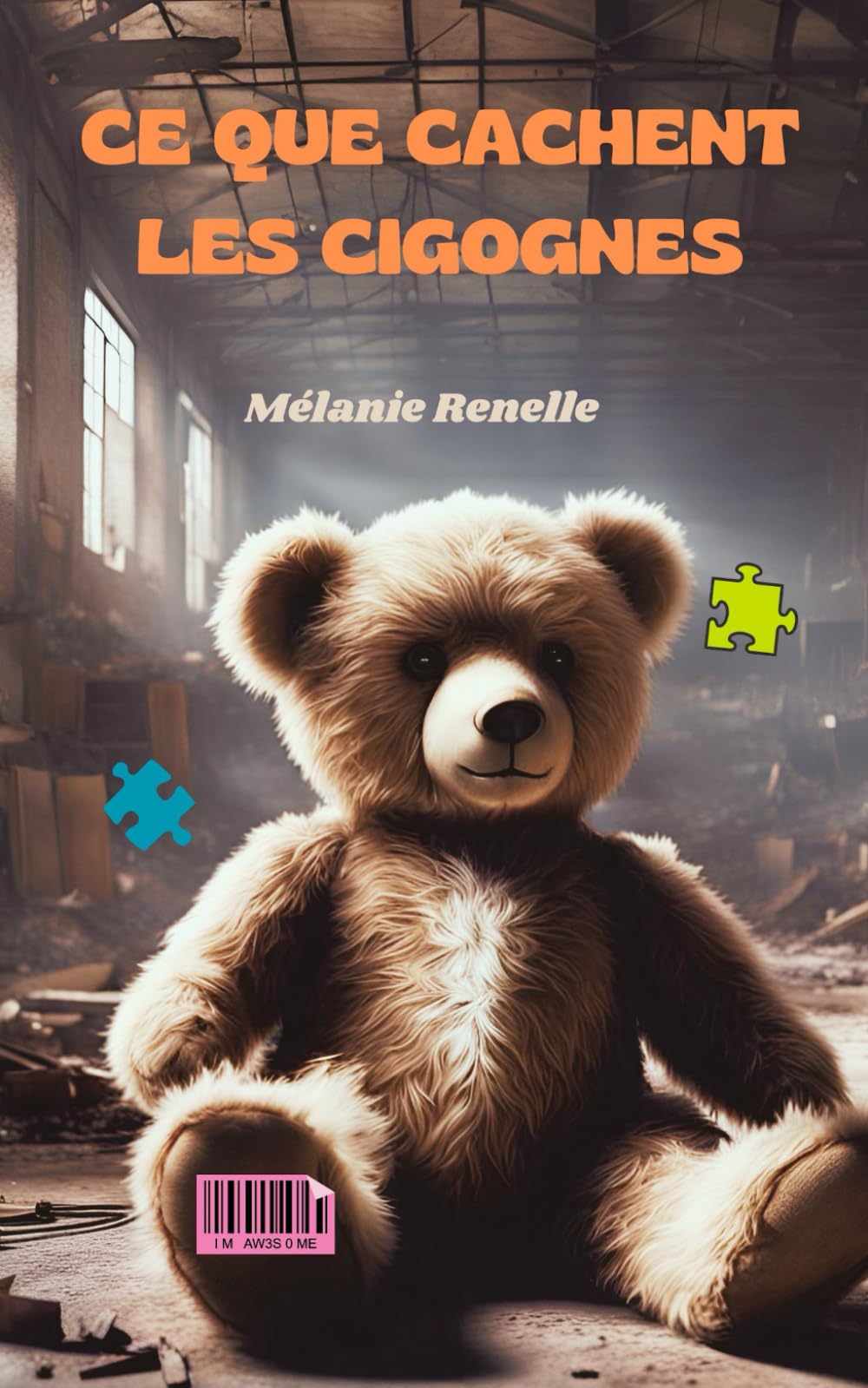 CE QUE CACHENT LES CIGOGNES