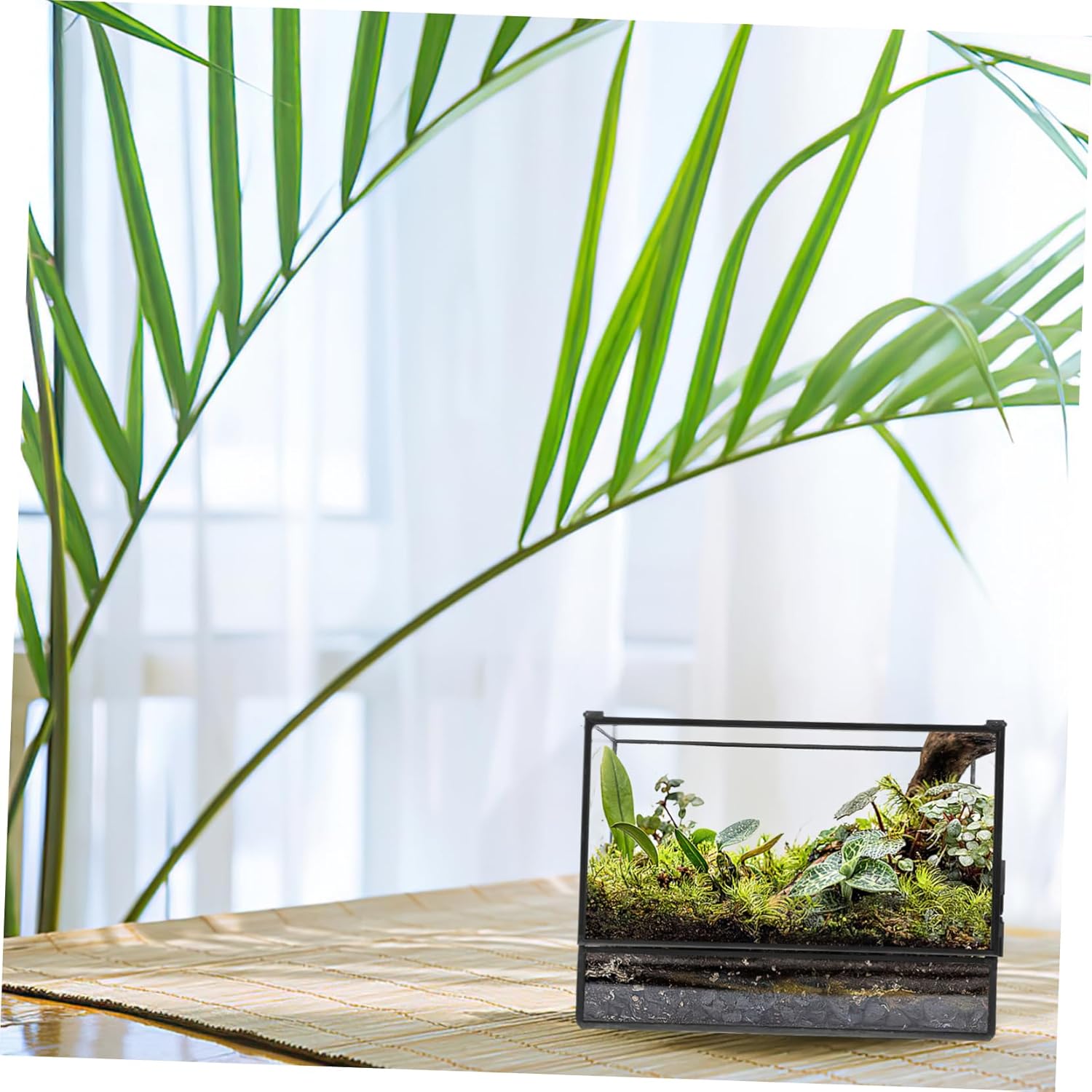 Happyyami Geometric Glass Mini Ecosystem Terrarium for Desktop Display Small Rainforest Box for Moss and Succulent Plants Handmade Decorative Holder