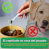 Ver la foto 4
