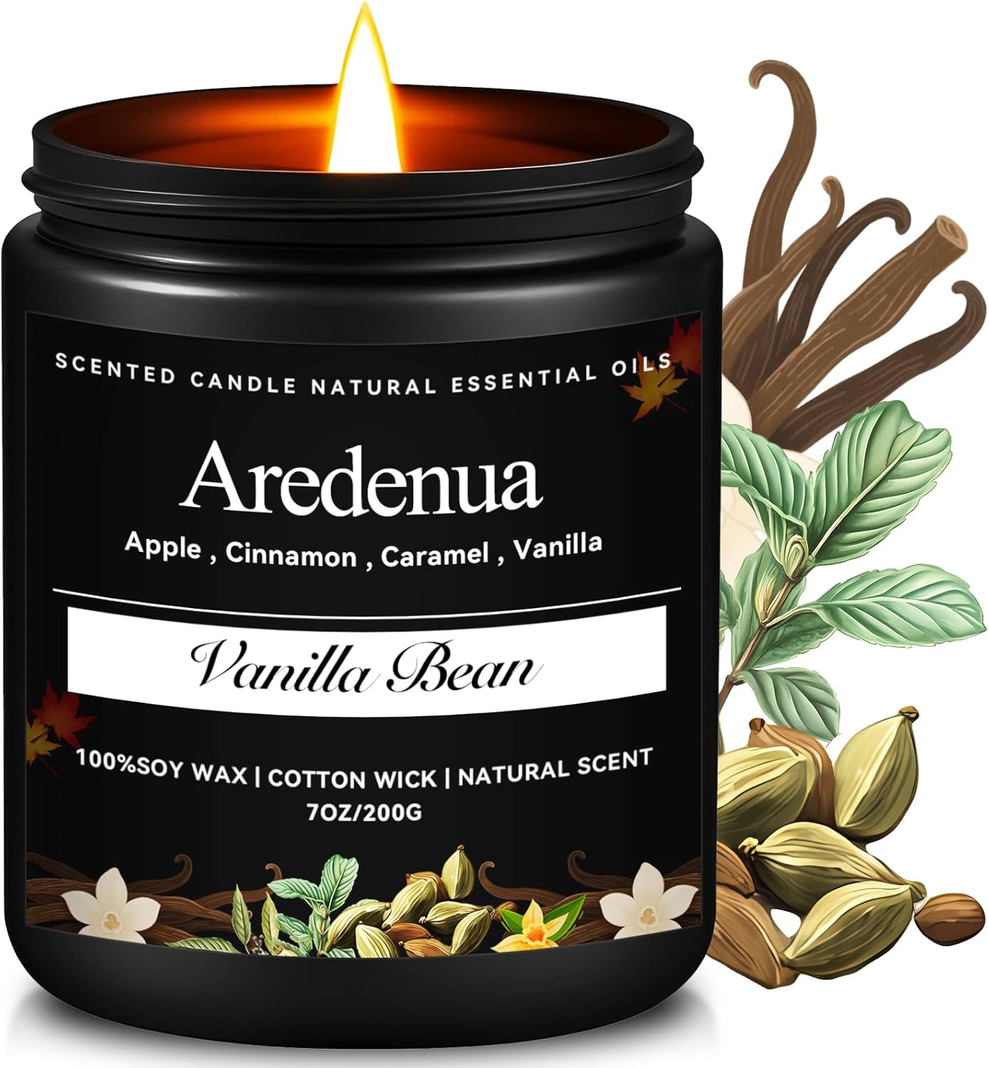 Vanilla Bean