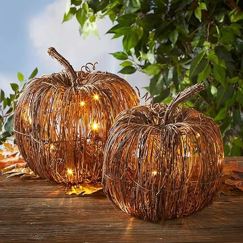 Lighted Grapevine Collection - Large