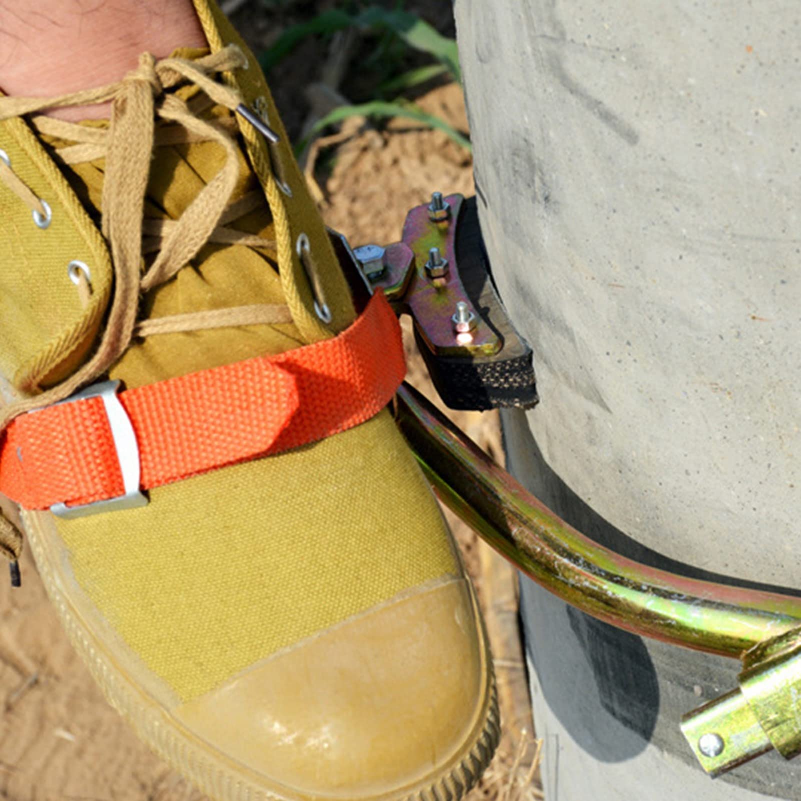 Brrnoo Picos para Trepar árboles, Picos para Trepar, Zapatos Antideslizantes para Postes de Hormigón, para árboles, Hebilla de Pie para Escalar con Postes de Acero Al Manganeso sin Costura para
