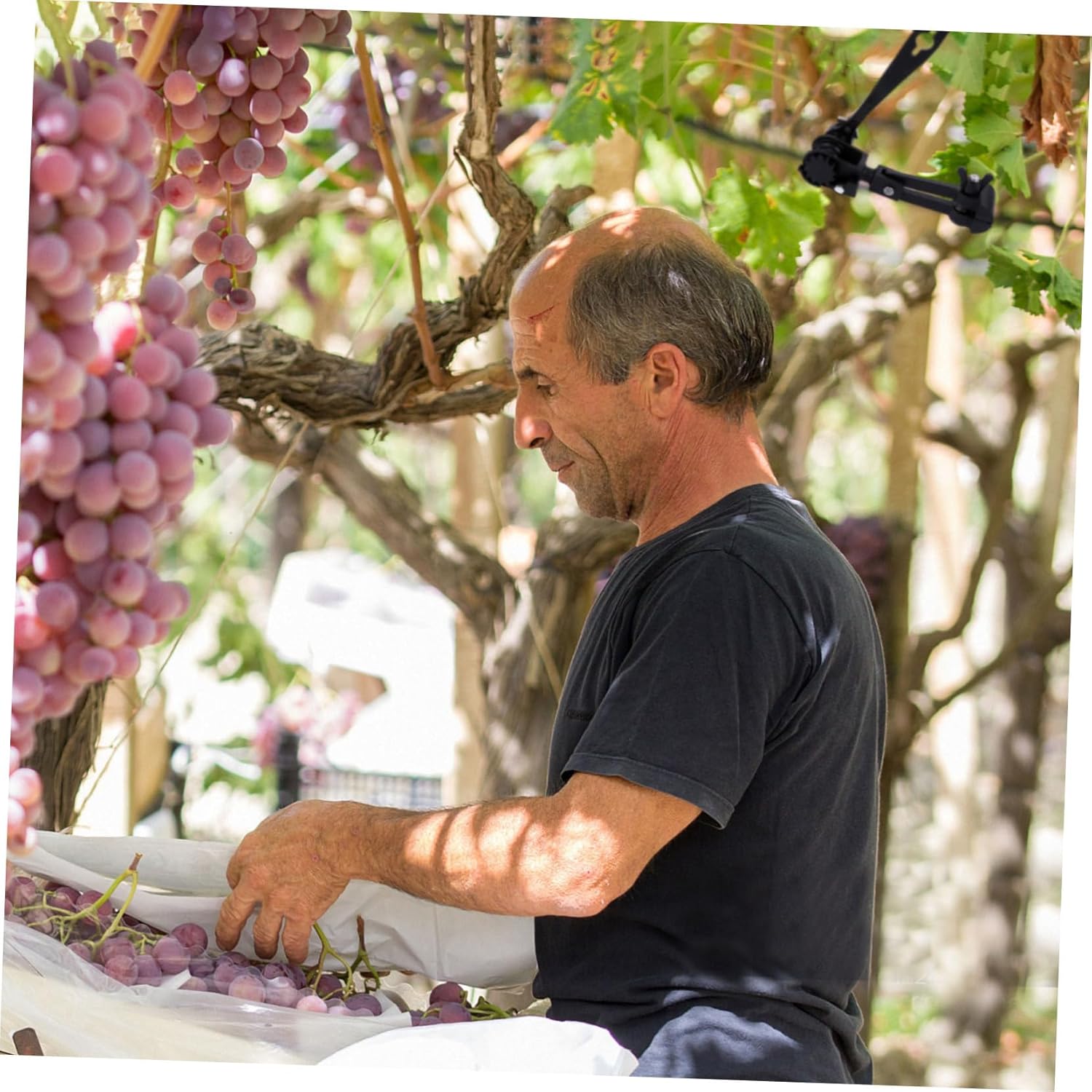 Wire Rope Tightener and Cable Puller Tool Carbon Steel Construction Pulling Force and for Industrial and Outdoor Use