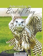 Understanding the Bird of Prey