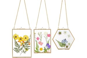 Apipi Pressed Flower Frames - Golden Hanging Frames for Preserved Flowers