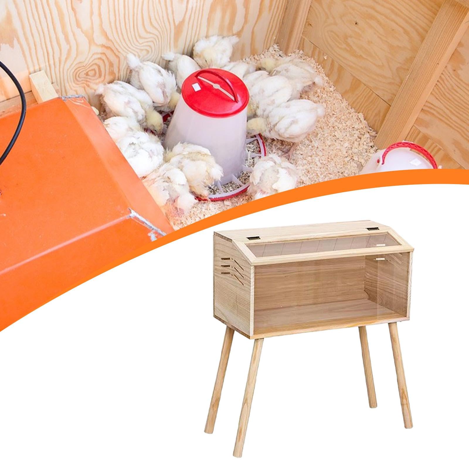Criadero de Pollos Ligero Y Ventilado, Ideal para La Cría de Aves como, Codornices Y Otros Pájaros, 50 Cm X 30 Cm X 30