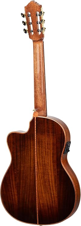 Ortega Exotic Suite Private Room Nylon-String Acoustic-Electric Guitar w/Electronics & Pro gig bag (EXOTICSUITECE)