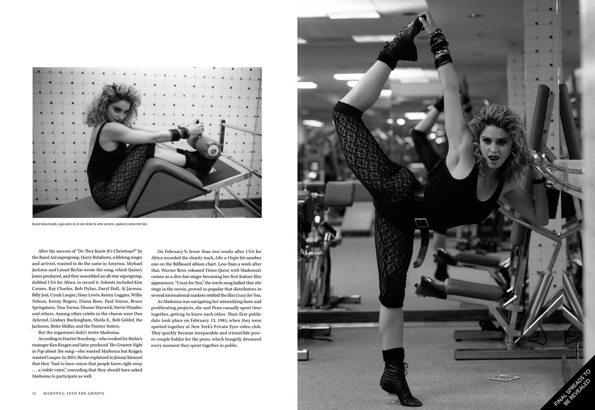 Madonna: Into the Groove: An Intimate Portrait of the Queen of Pop
