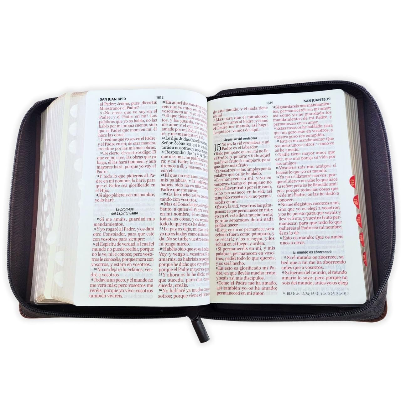 Biblia Compacta Reina Valera 1960 Letra 11 puntos con Cierre imit piel duotono cafe silueta de leon con indice      Imitation Leather – January 1, 2026