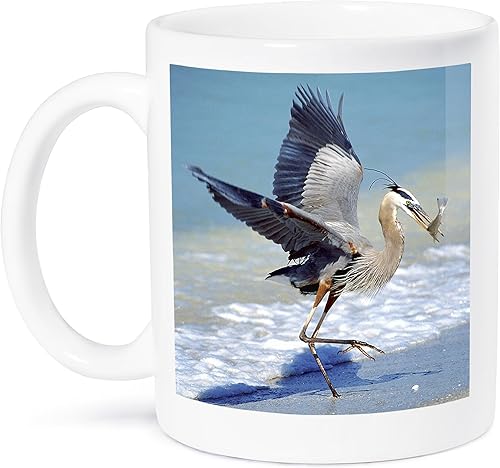3dRose Florida, Captiva Island Blue Heron Bird-Us10 Bja0183-Jaynes Gallery - Taza de cerámica, 11 onzas, color blanco