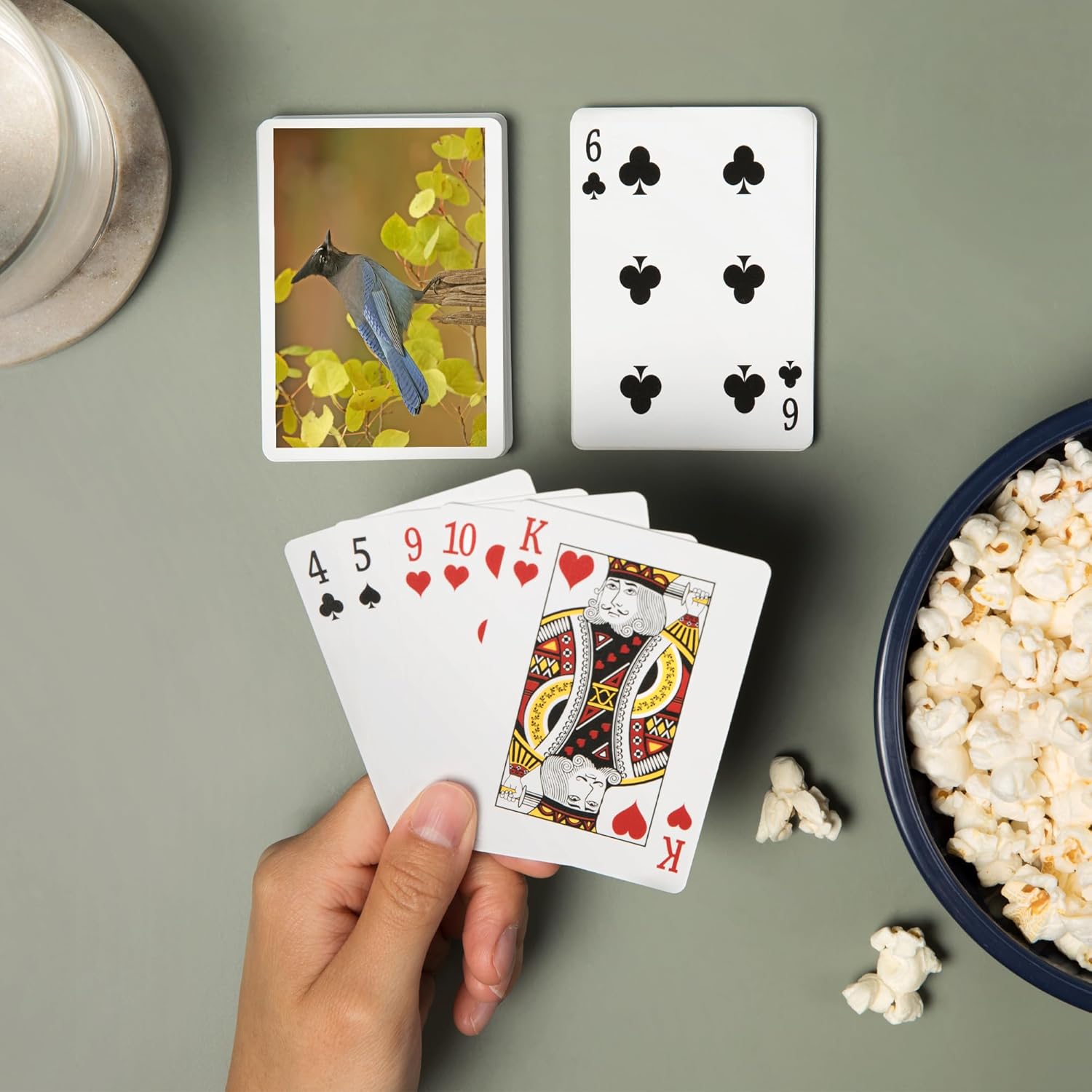 Lantern Press Stellar Blue Jay, 52 Playing Cards for Adults, Poker Size Card Deck
