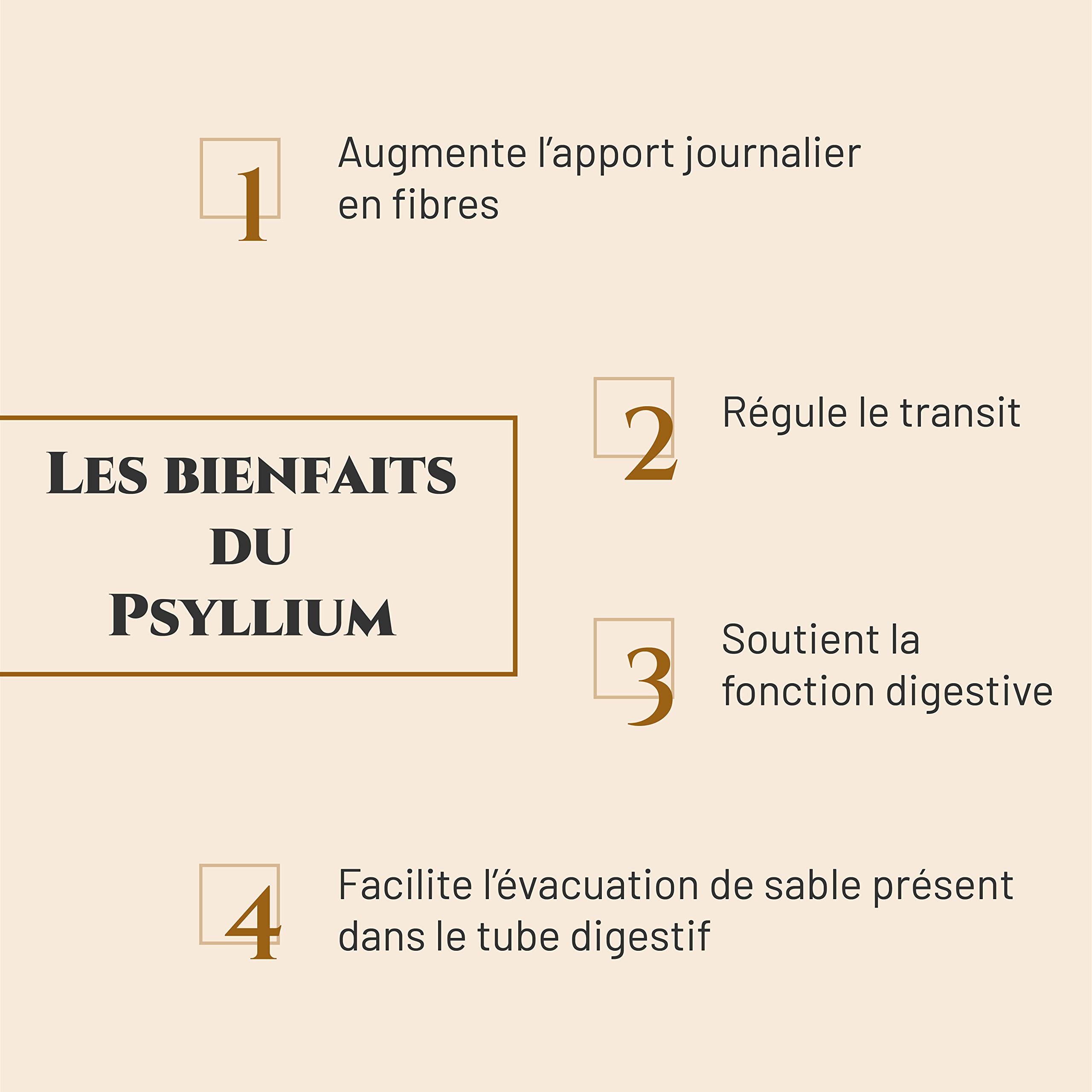 PSYLLIUM BLOND - Complément nutritionnel Cheval - Sachet 300 g - Apport en fibres - Aide à réguler le transit intestinal - Marque Française