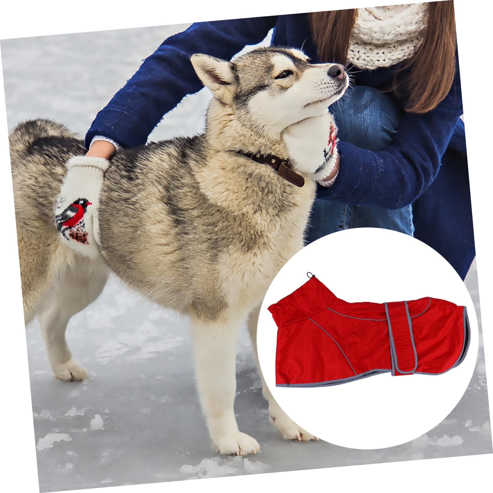 Hunde Regenmantel Hundebekleidung Herbst Party für Spaziergänge