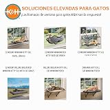 Ver la foto 6