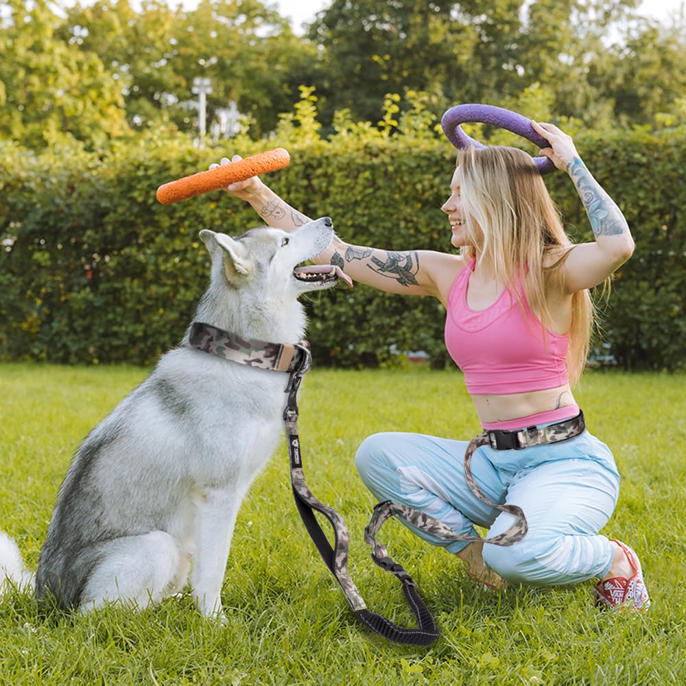 TSPRO Laisse mains libres pour chien pour la marche, la course à pied, avec ceinture de sécurité de voiture, laisse élastique absorbant les chocs avec poignée rembourrée (vert)