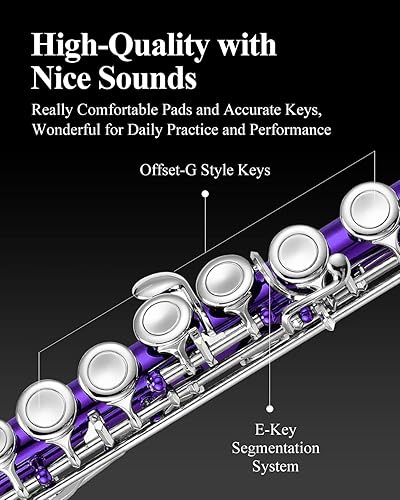 Vista 24 de Eastar Flauta de 16 teclas Plateado