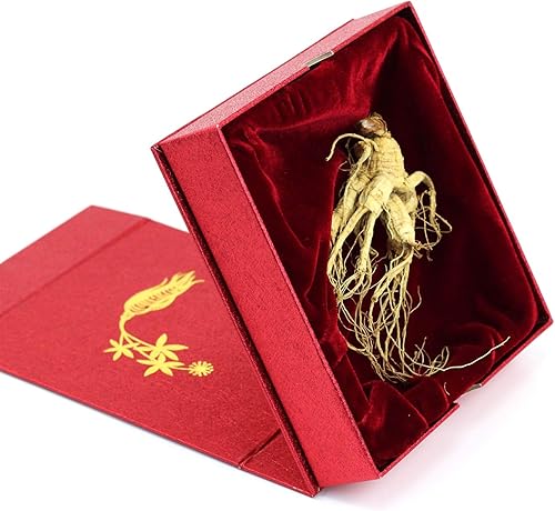 WOHO Cultivated American Ginseng - Raíz con caja de regalo, 1