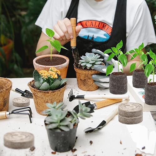 Miniatura 4 de ZeeDix 50 unidades de pellets de turba de 1.969 in, arrancador de semillas comprimidas, tapones de turba, vainas de turba, iniciador de semillas,