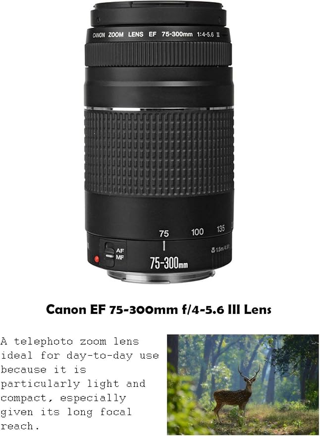 Cámara Canon EOS Rebel T7 DSLR con lentes y accesorios miniatura 4