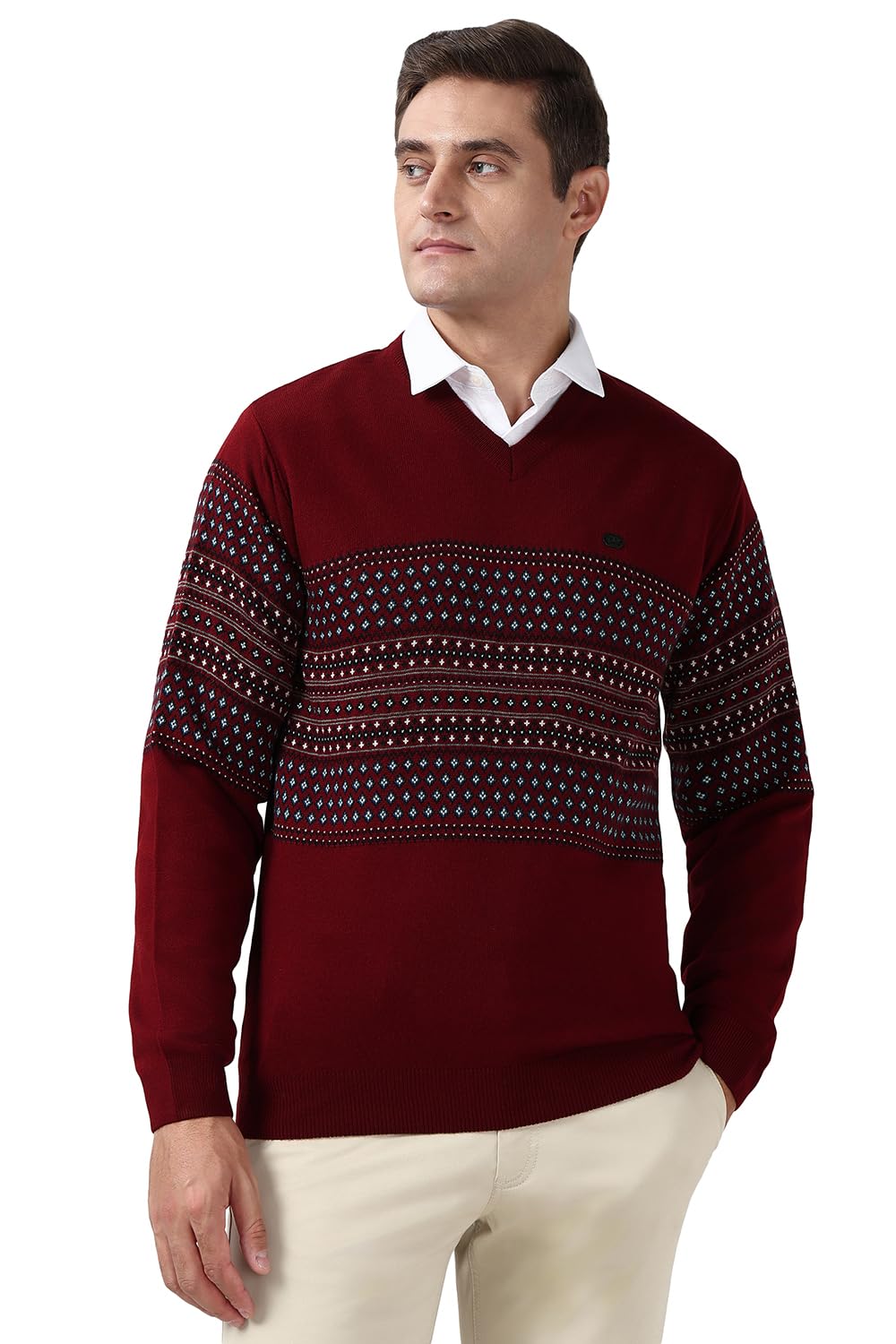 peter england Men Sweater-picture-56