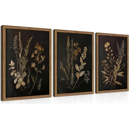 Framed Dark Botanical Wall Art Set of 3, Black Moody Floral Wall Decor Paintings, Dark Academia Decor, Vintage Flower Artwork Prints Pictures for Living Room Bedroom Bathroom 12x16 Inch