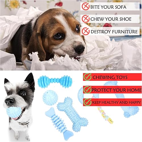 Miniatura 7 de Juguetes para cachorros, paquete de 6 juguetes masticables para cachorros, lindos juguetes azules para perros pequeños, juguetes de dentición para