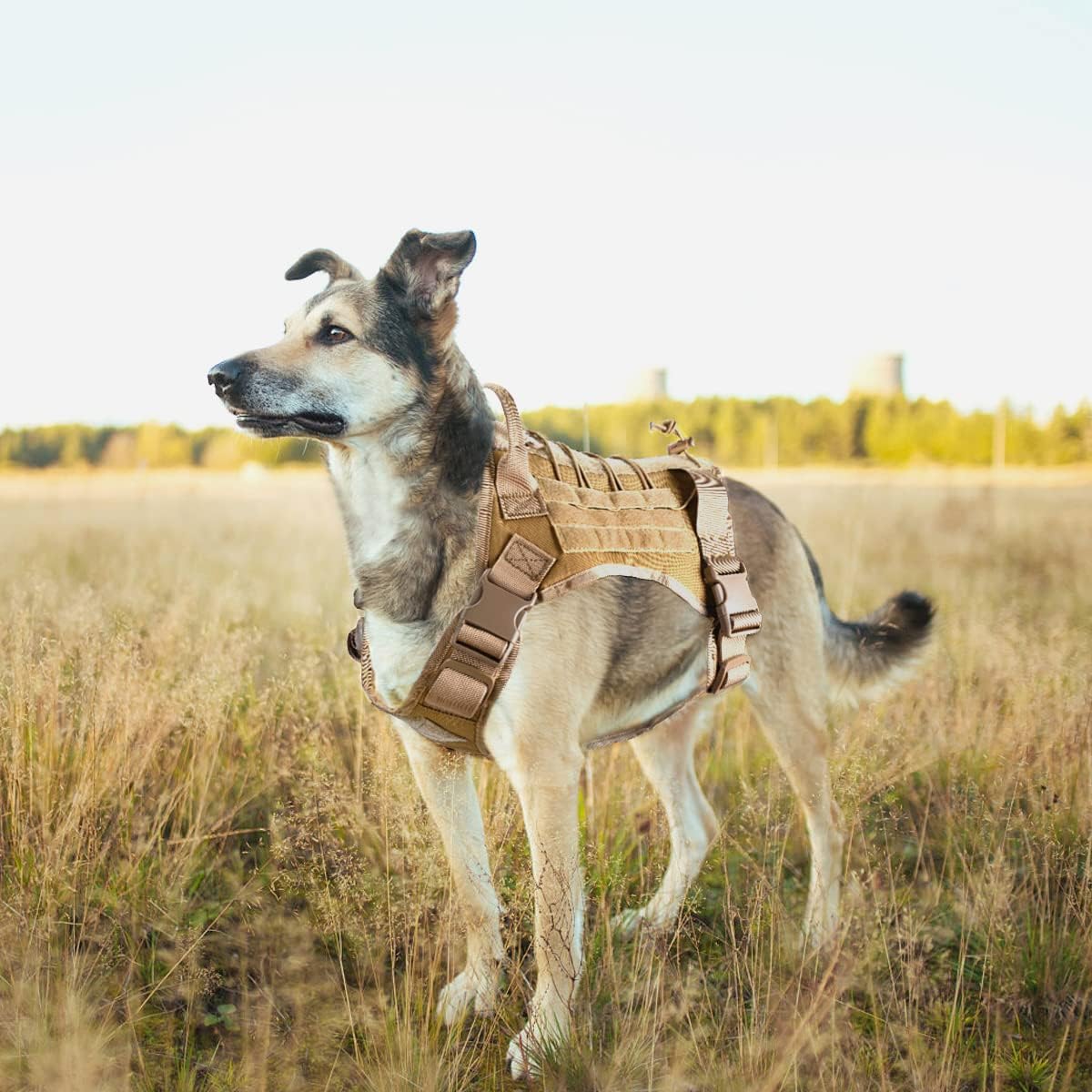 EAmber Tactical Dog Vest Harness Heavy Duty Dog Pet Working Vest Easy Control for Medium Large Dogs for Hiking Training Outdoor Dogs