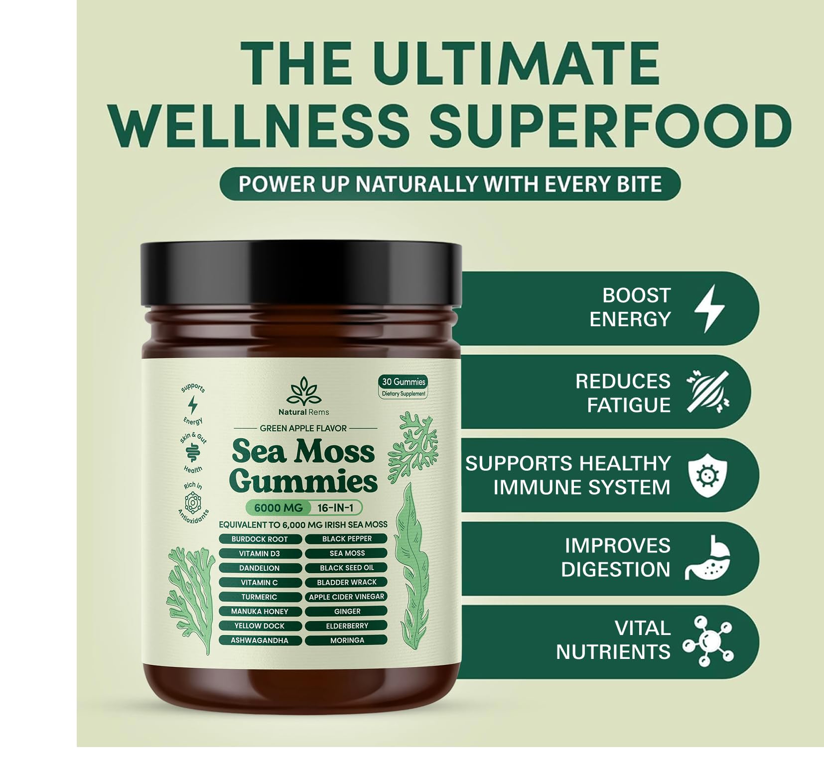 Natural Rems Sea Moss Gummies 16-in-1 - Ashwagandha Black Seed Oil Bladder Wrack Turmeric Vitamin C & D3 with Manuka Burdock Root Dandelion Yellow Dock Elderberry Apple Cider Vinegar (Green Apple) — Amazon image 5