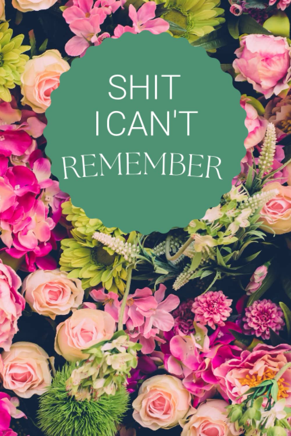 Shit I Can't Remember Password Notebook: Internet Password Logbook: A Password Log Book, Journal & Notebook for Disorganized People