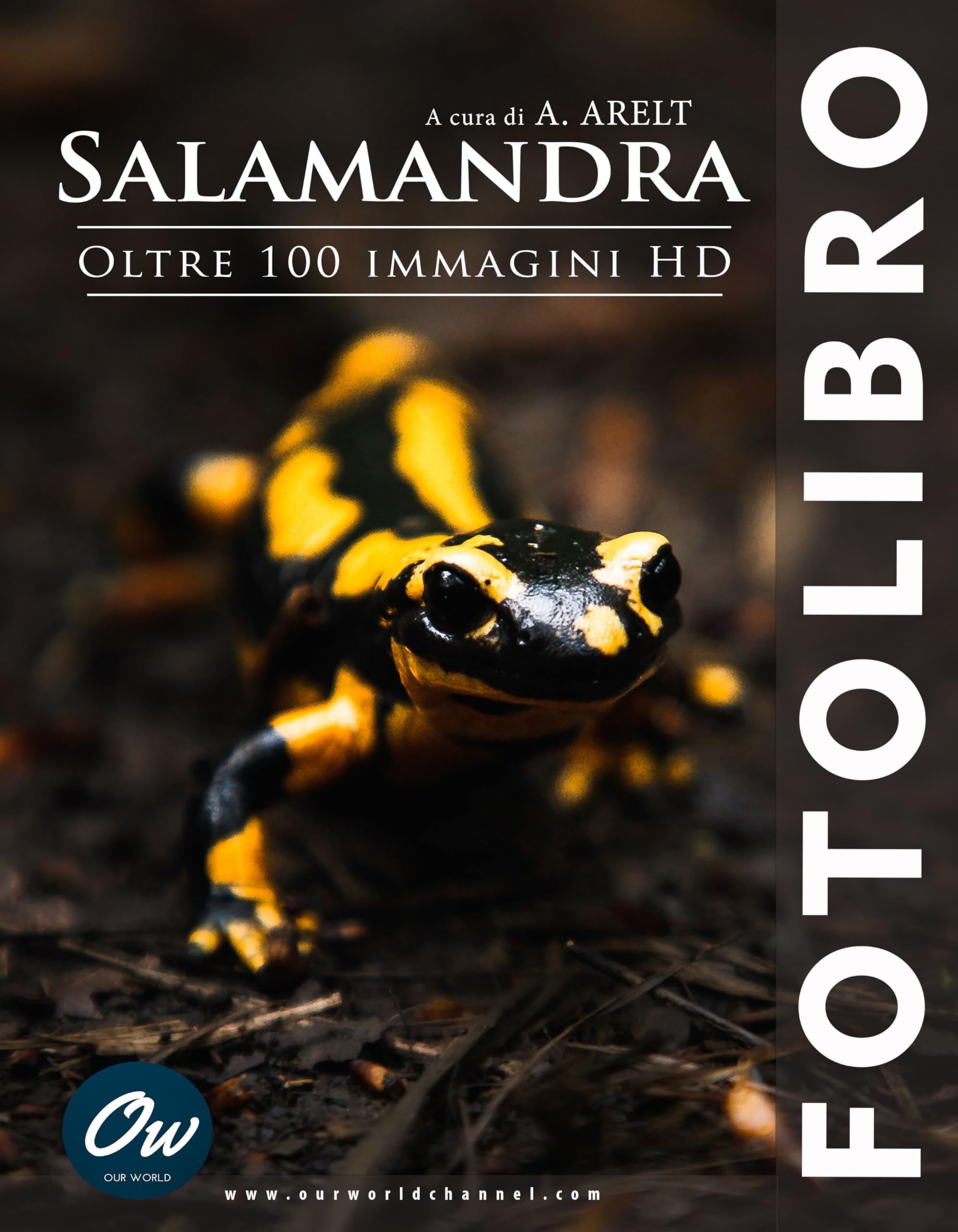 Fotolibro Salamandra album photo italien livre d'art avec 100 images HD de collection