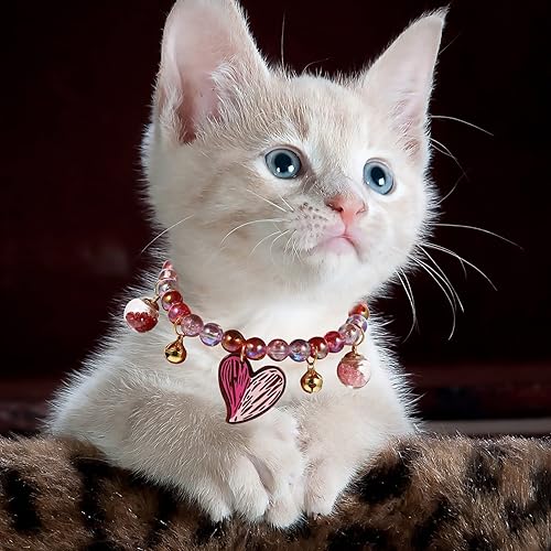 Miniatura 5 de Accesorio para gato, collar de perla para mascotas con cuentas para gatos y perros, collar ajustable para mascotas