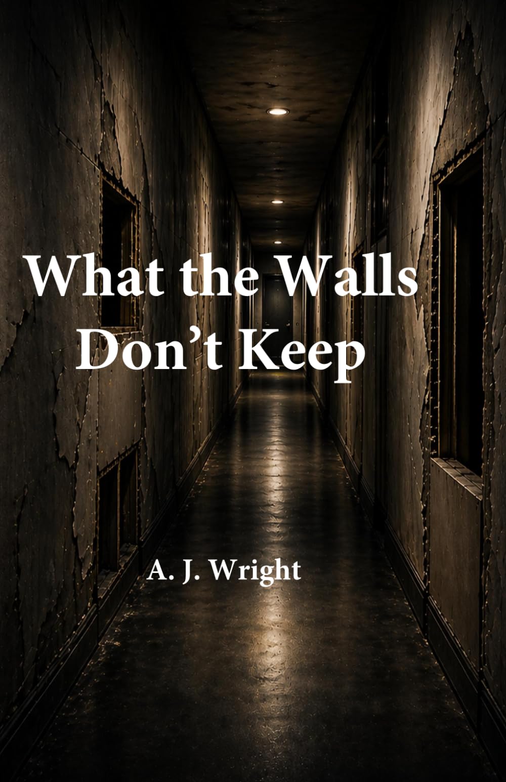What the Walls Don’t Keep Meredith Briggs Series — Book Six