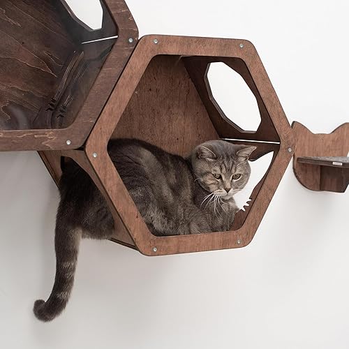 Miniatura 5 de Wall Cat Shelves Wood Cat Wall Shelves Cat Furniture - Wooden Cat Shelf Wall Mounted Cat Wall Furniture - Indoor Cats Rustic Cat Decor Cat Lover