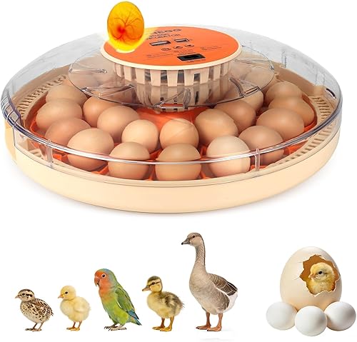 Miniatura 14 de Nest I - Incubadora de 12 huevos para principiantes, giro automático de huevos, humedad constante con botella de agua de recarga automática