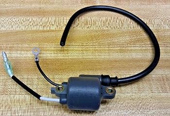 Amazon.com: 15662602111 Genuine Echo IGNITION COIL PB-400E