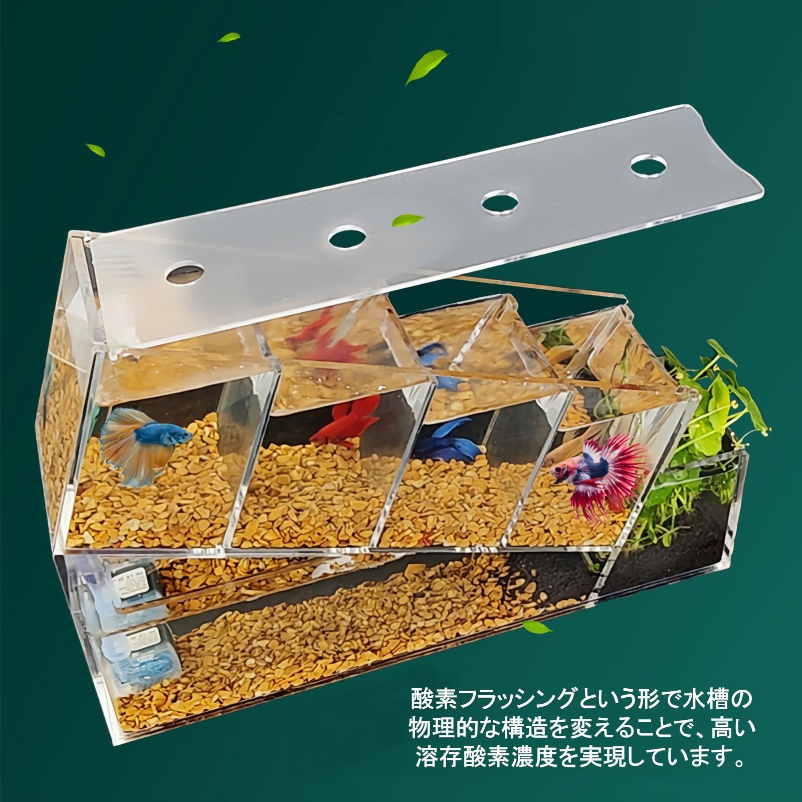 Amazon | Ghims ベタ水槽 ウォーターポンプ付き コンパクト水槽