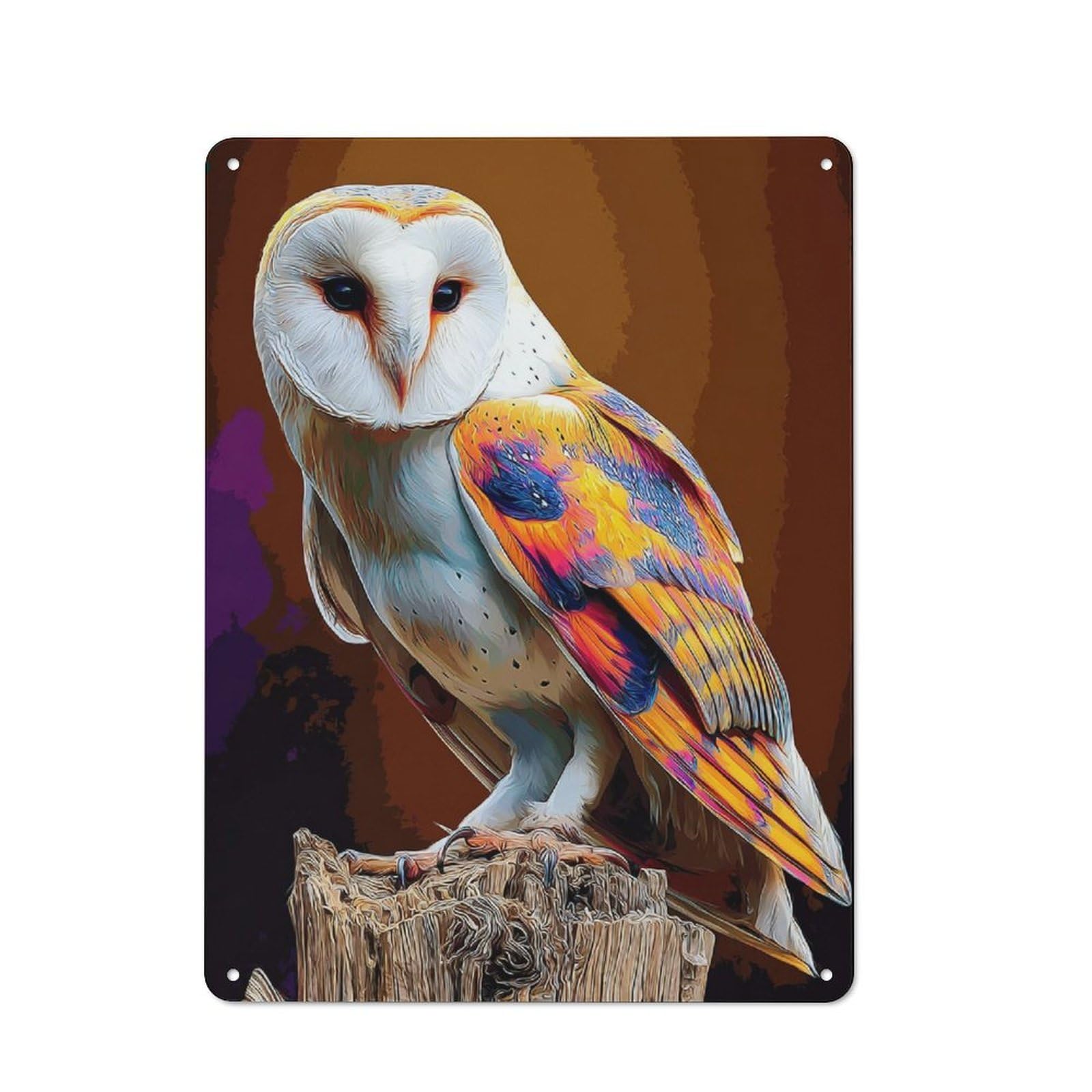 Junmoney Colorful Barn Owl Portrait Country Metal Sign With Design 40X30cm, Farmhouse Farmhouse Wall Decor For Kitchen, Cottage, Porch Or Garden Room